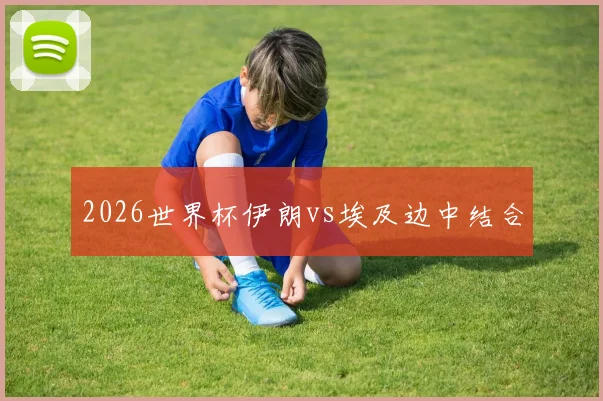 2026世界杯伊朗vs埃及边中结合