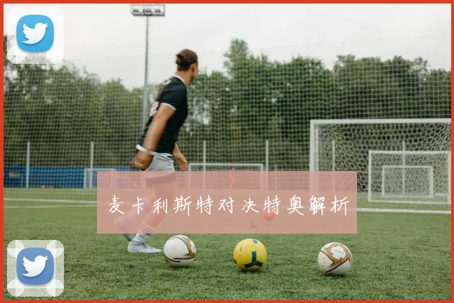 麦卡利斯特对决特奥解析