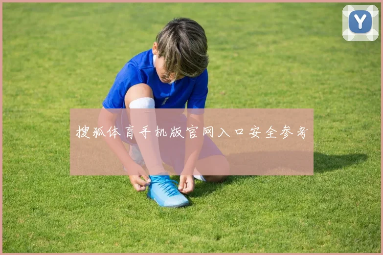 搜狐体育手机版官网入口安全参考