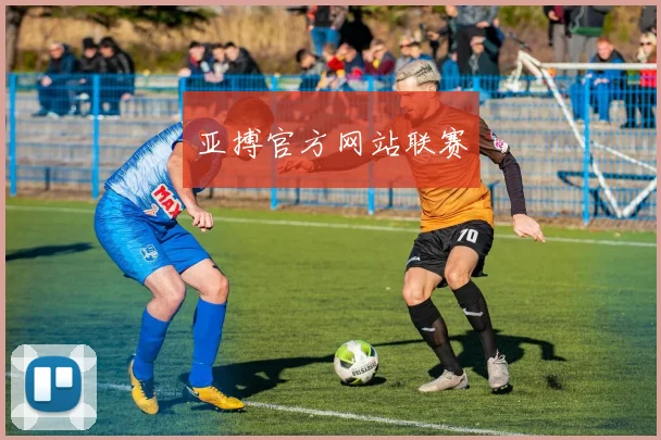 亚搏官方网站联赛