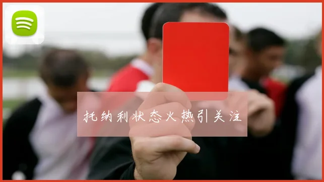 托纳利状态火热引关注