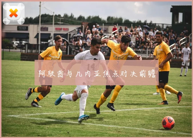 阿联酋与几内亚焦点对决前瞻