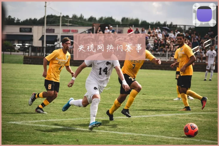央视网热门赛事
