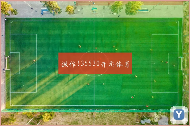振作!35530开元体育
