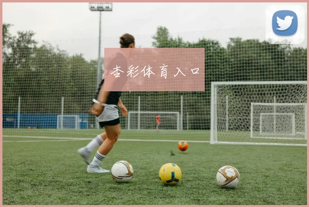 杏彩体育入口