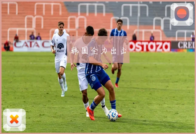 韩国全力出击