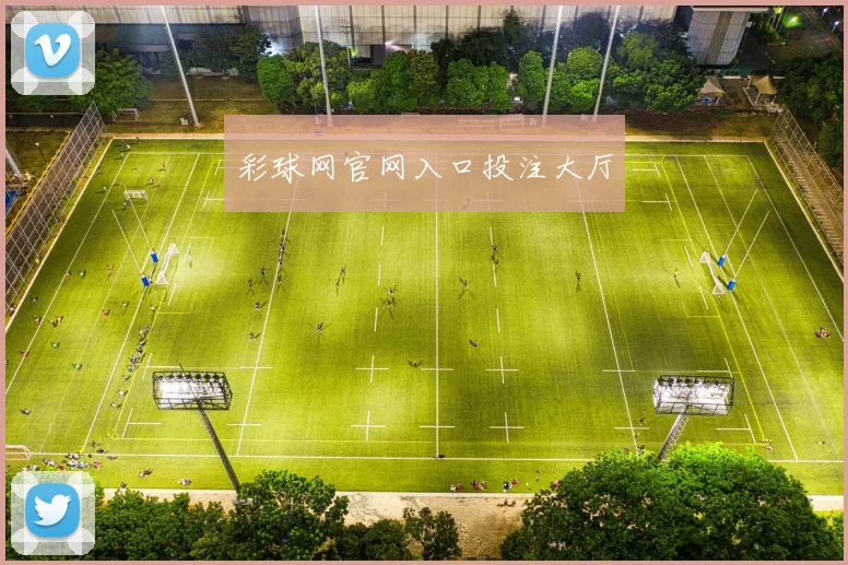彩球网官网入口投注大厅
