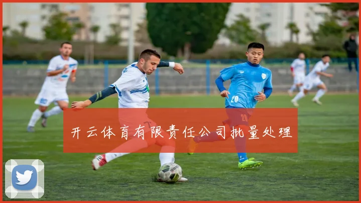 开云体育有限责任公司批量处理