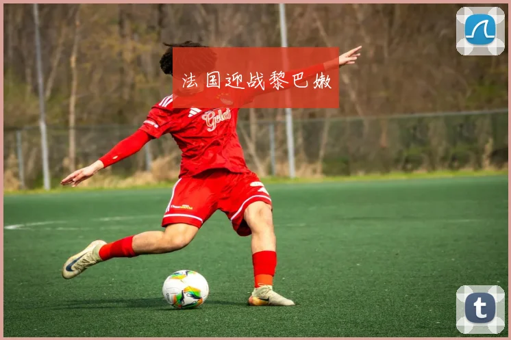 法国迎战黎巴嫩
