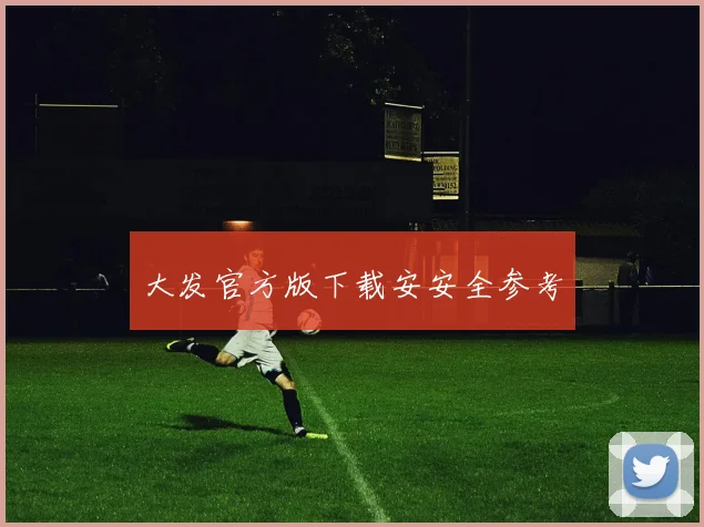 大发官方版下载安安全参考