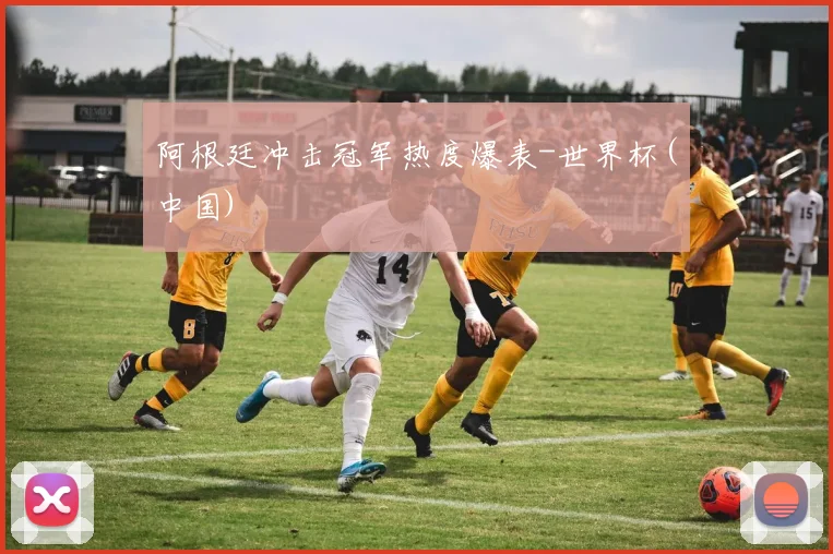 阿根廷冲击冠军热度爆表-世界杯(中国)