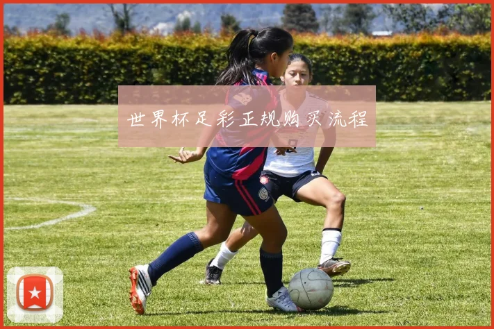 世界杯足彩正规购买流程