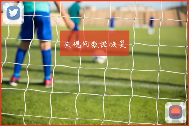 央视网数据恢复