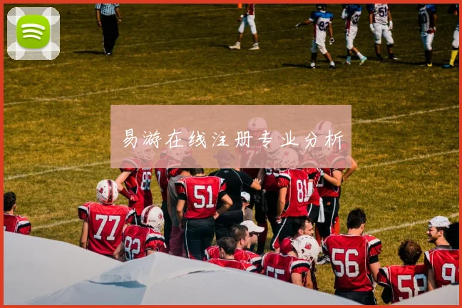 易游在线注册专业分析