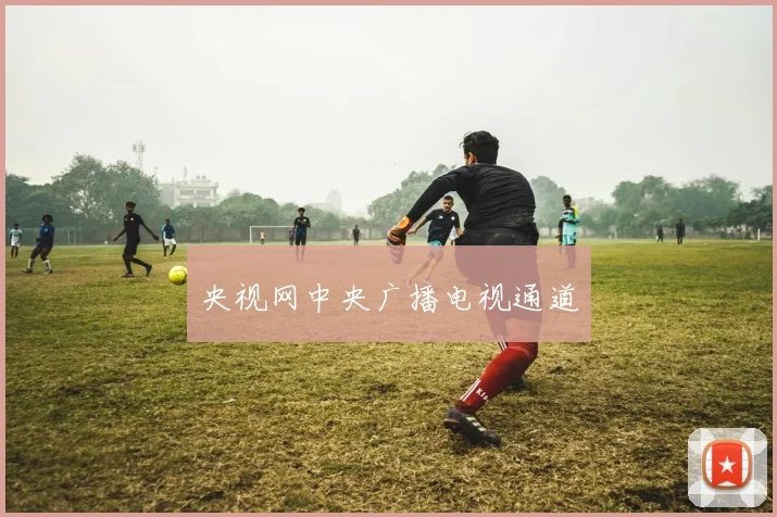 央视网中央广播电视通道