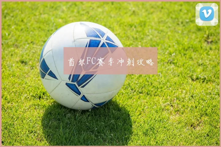首尔FC赛季冲刺攻略