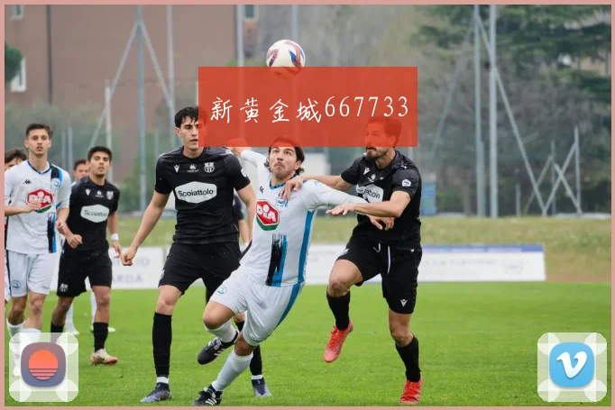 新黄金城667733