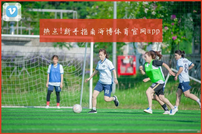 热点!新手指南海博体育官网app