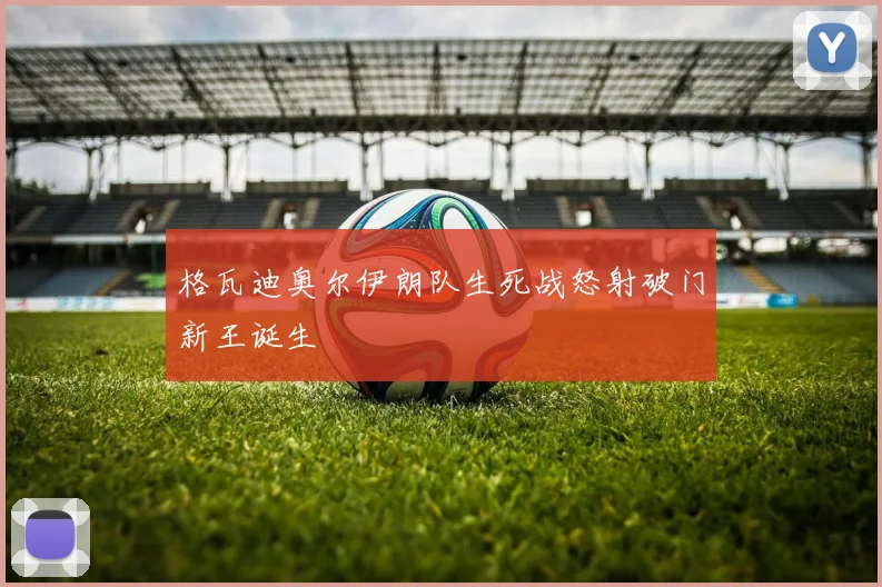 格瓦迪奥尔伊朗队生死战怒射破门新王诞生