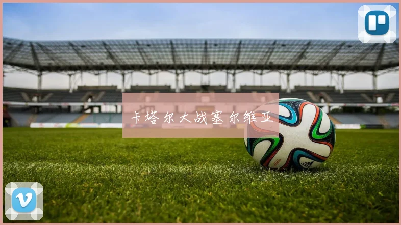 卡塔尔大战塞尔维亚