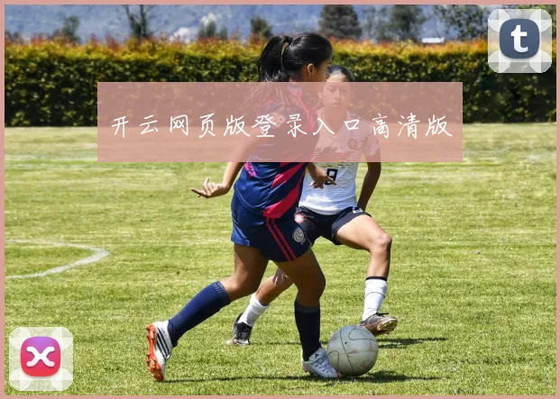 开云网页版登录入口高清版