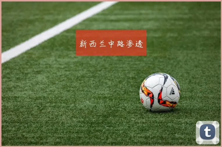 新西兰中路渗透