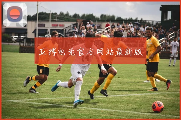 亚搏电竞官方网站最新版