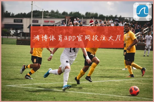 鸿博体育app官网投注大厅