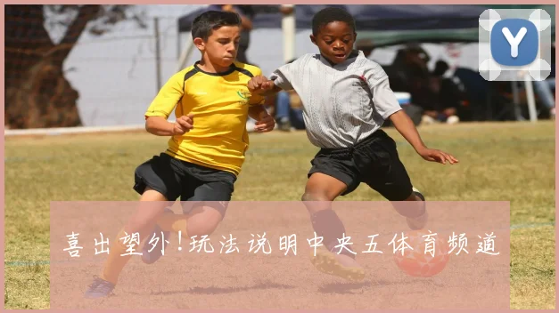 喜出望外!玩法说明中央五体育频道
