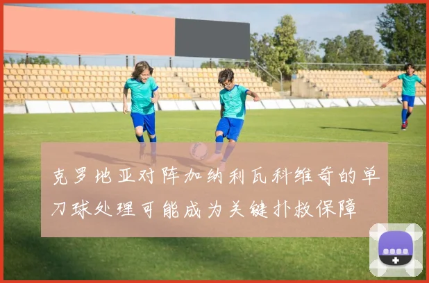 克罗地亚对阵加纳利瓦科维奇的单刀球处理可能成为关键扑救保障